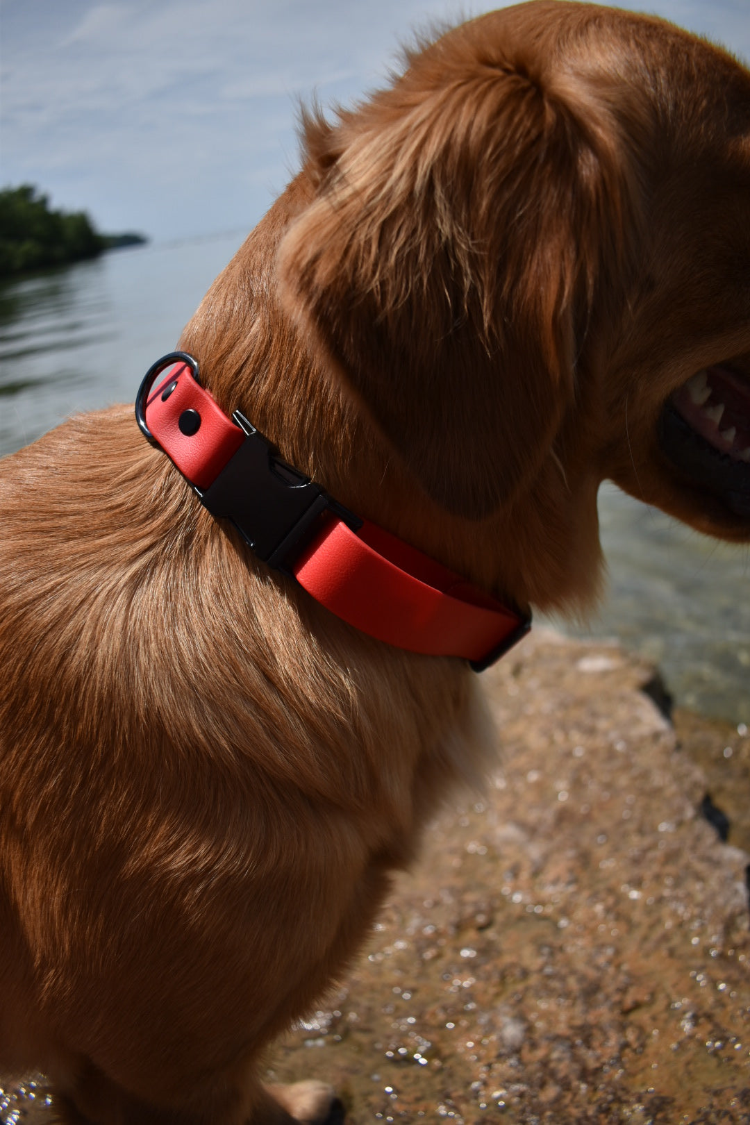 Quick Release Collar 1"- Red