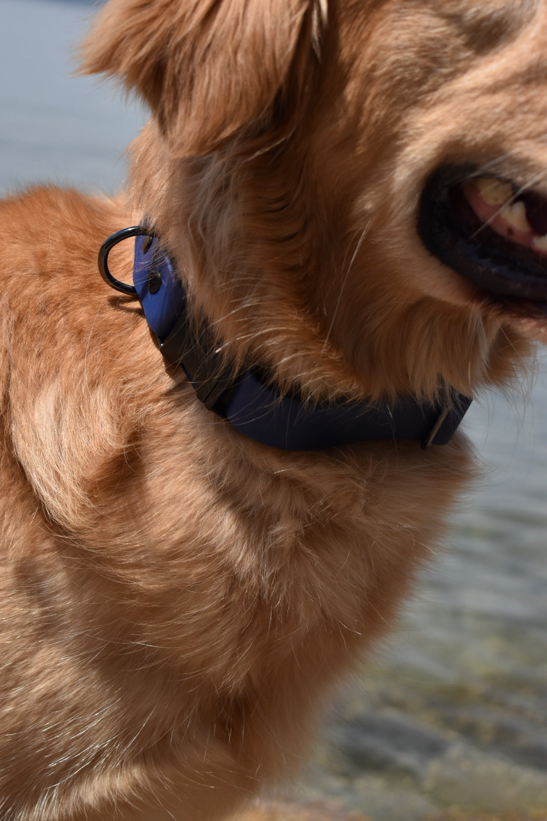 Quick Release Collar 1"- Navy