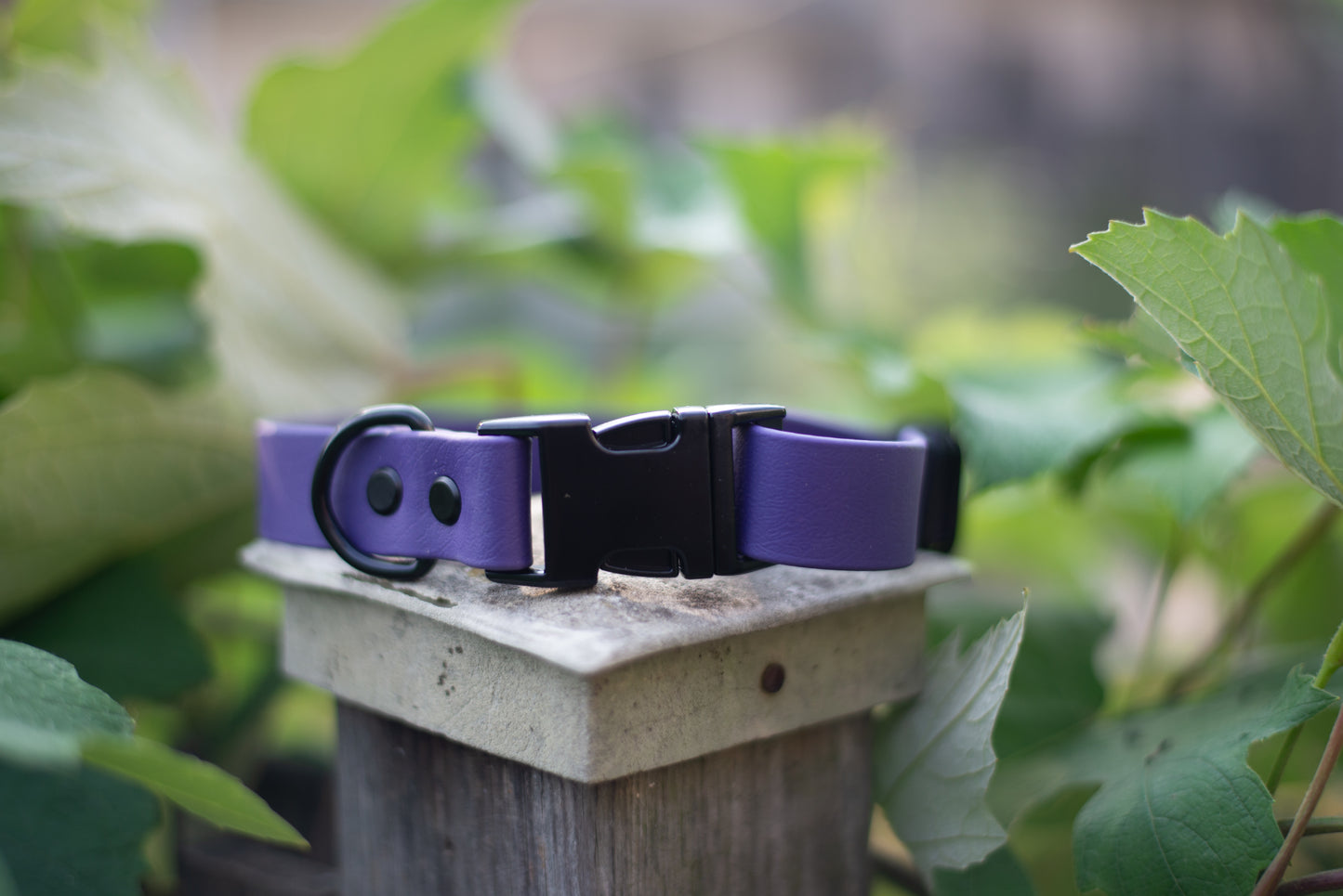 Quick Release Collar 1"- Deep purple