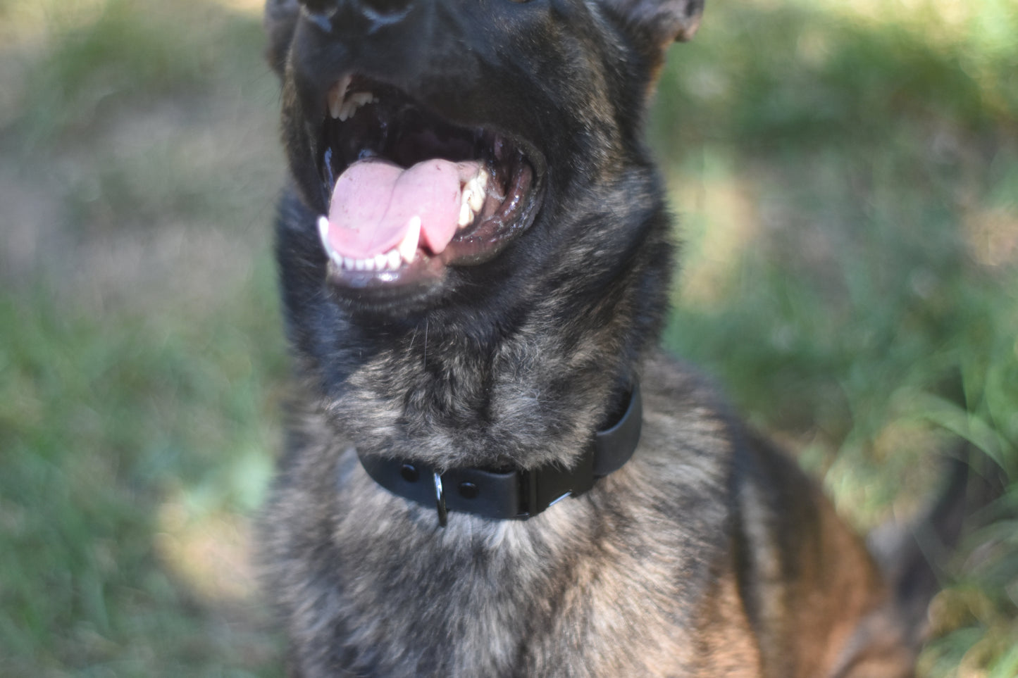 Quick Release Collar 1"- Black
