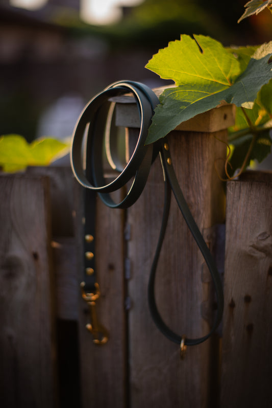 Standard Leash - Custom 1/2" 4ft