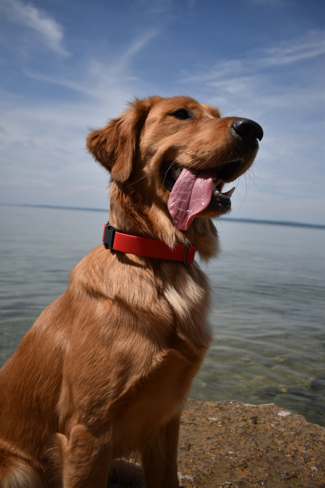 Quick Release Collar 1"- Red