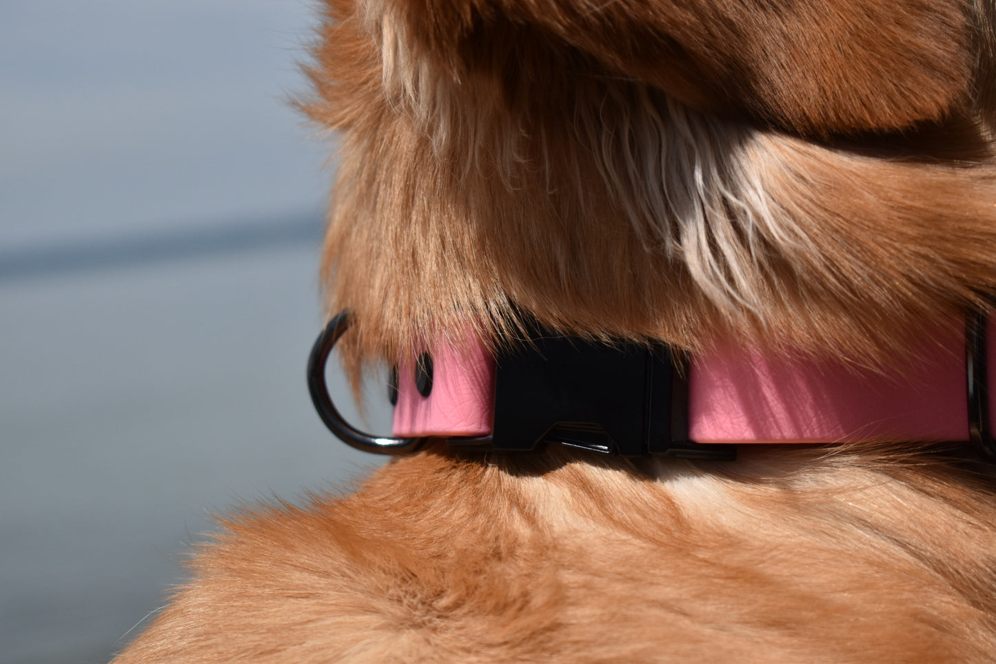Quick Release Collar 1"- Pink