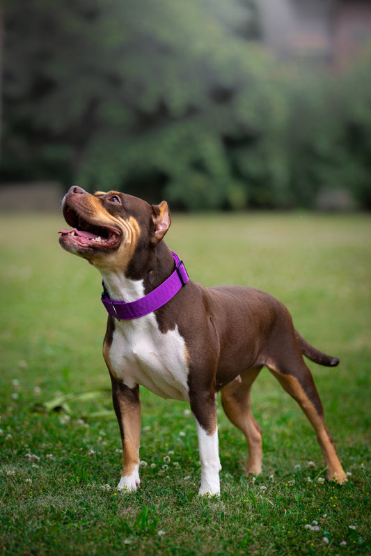 Zero Lock Collar 1 1/2"