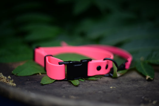 Quick Release Collar 1"- Neon pink