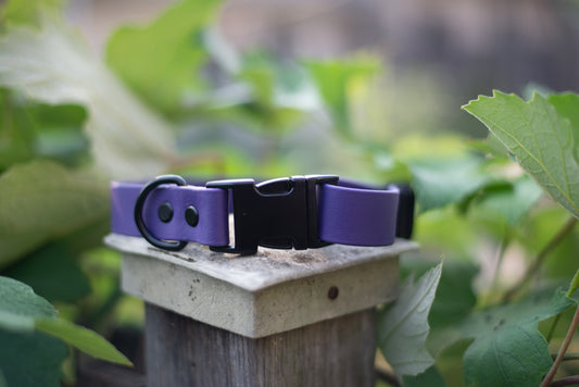 Quick Release Collar 1"- Deep purple
