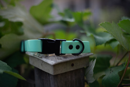 Quick Release Collar 1"- Seafoam