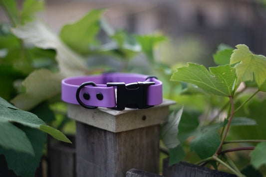 Quick Release Collar 1"- Purple
