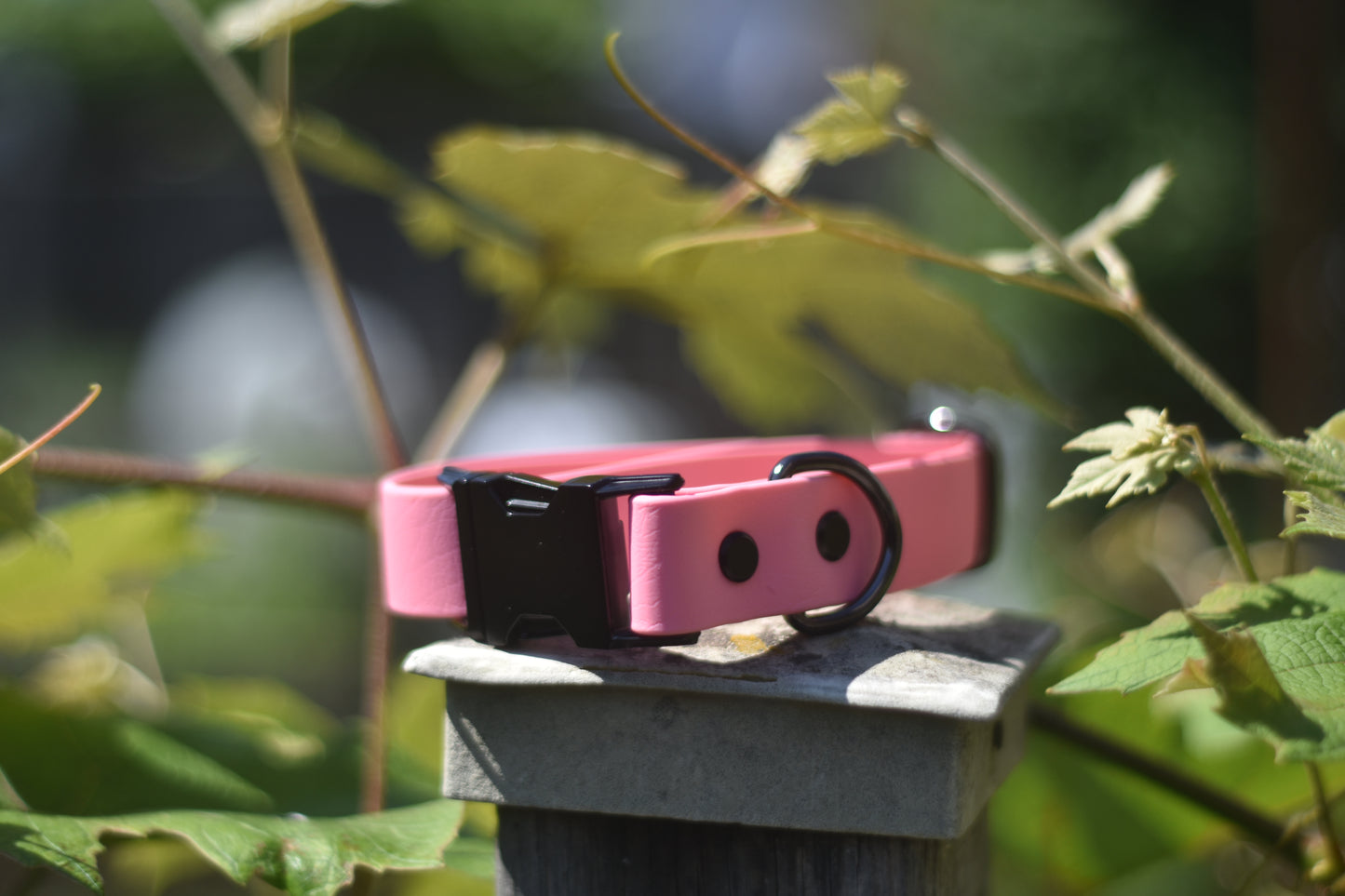 Quick Release Collar 1"- Pink