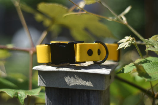 Quick Release Collar 1"- Yellow