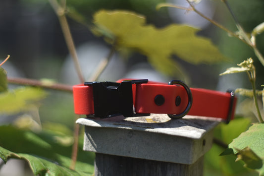 Quick Release Collar 1"- Red