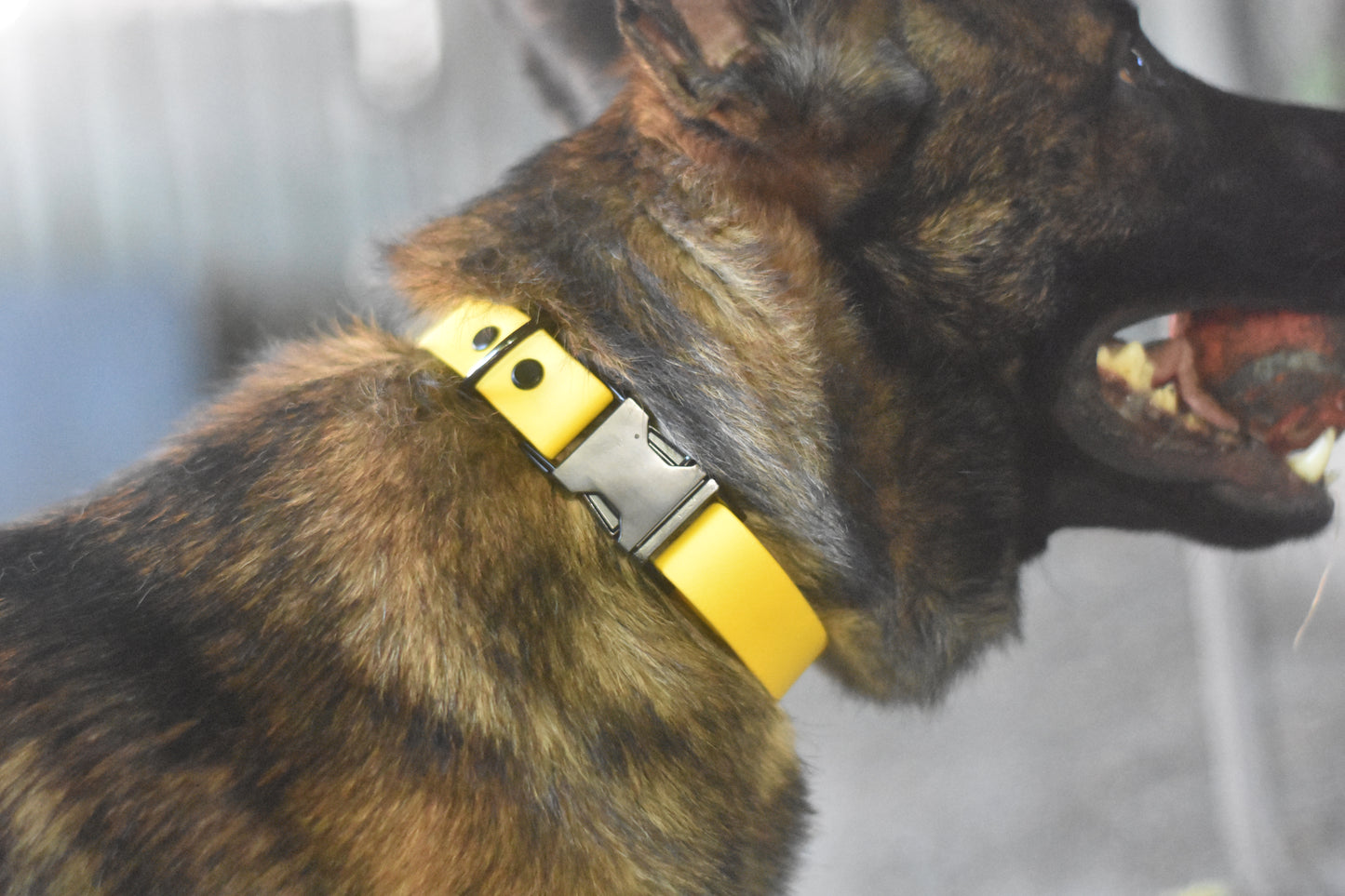 Quick Release Collar 1"- Yellow