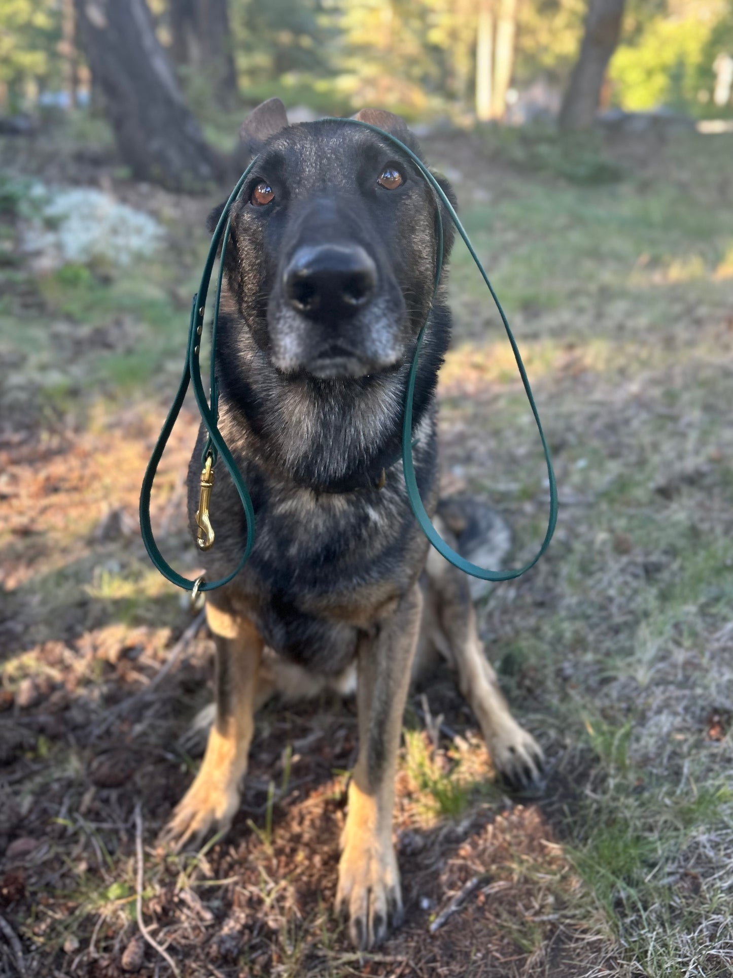 Standard Leash - Custom 1/2" 4ft